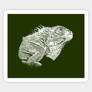 Iguana Sticker